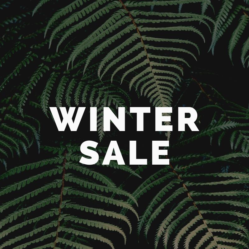 Winter Clearance Sale