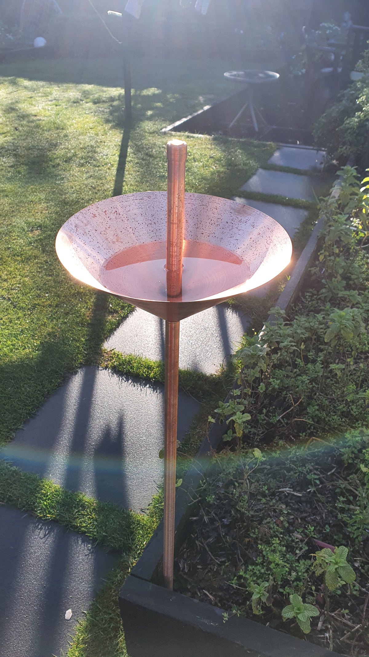 Rain Gauge