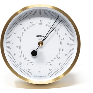 Designer Polar Series -Thermometer